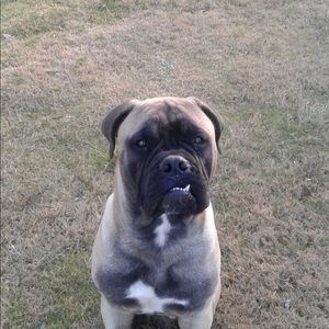 Meet your Posher, Kendra